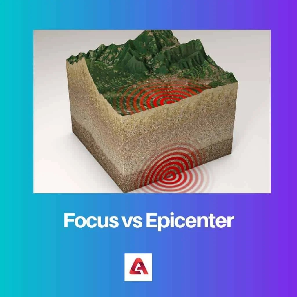Focus vs Epicenter Difference and Comparison