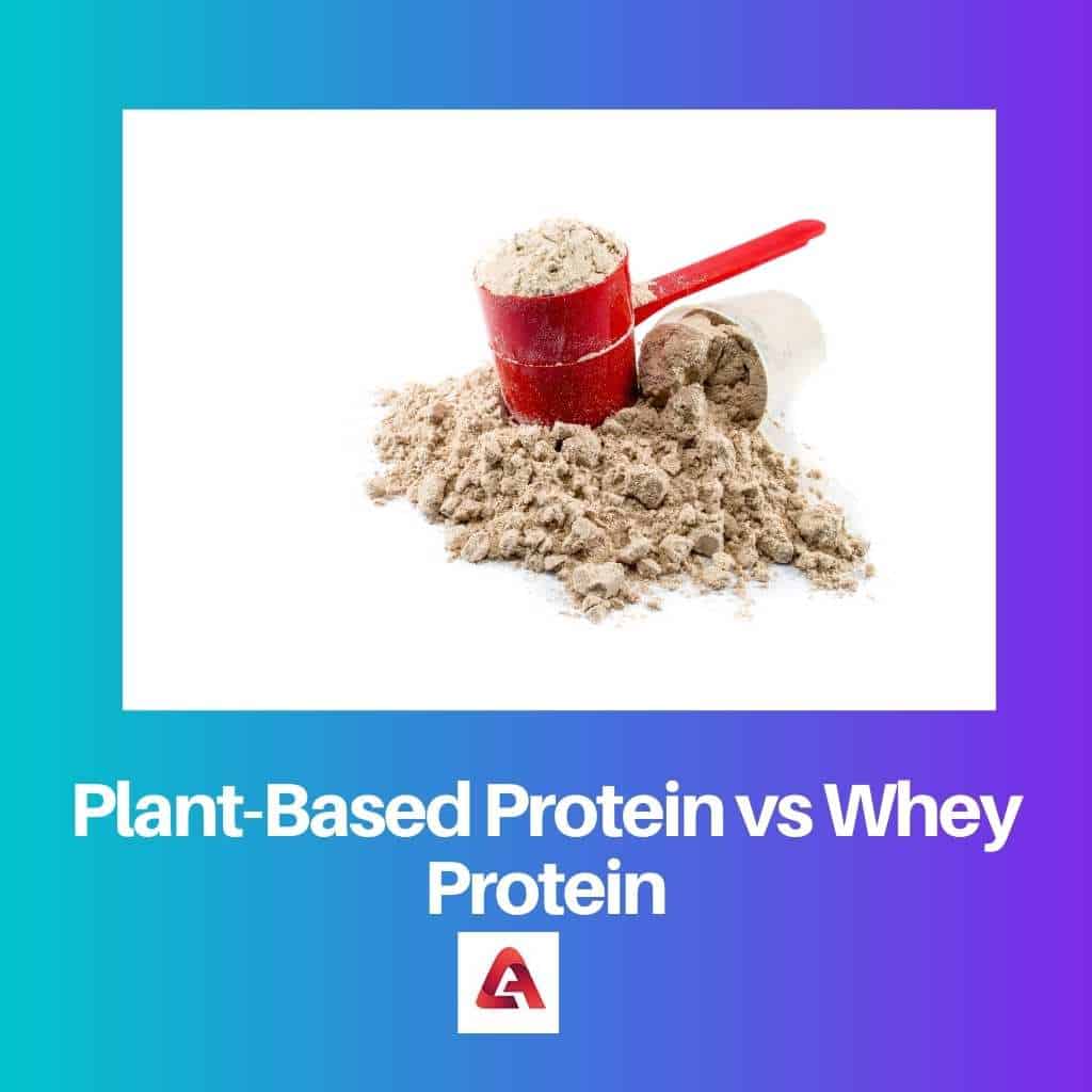 PlantBased Protein vs Whey Protein Difference and Comparison