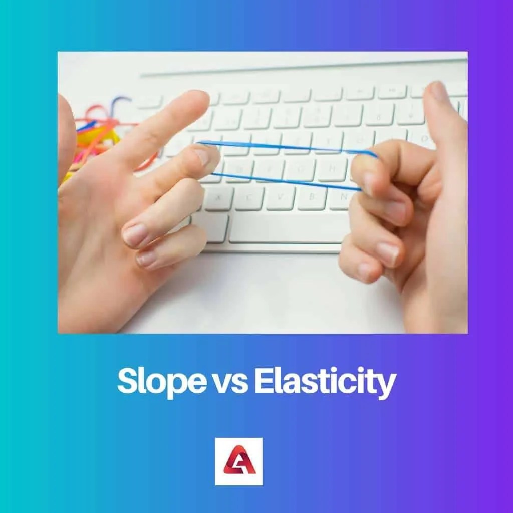 Slope vs Elasticity Difference and Comparison