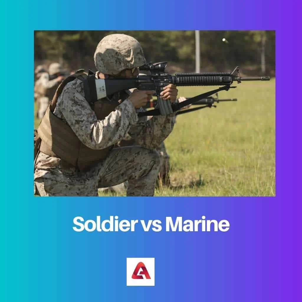 Soldier vs Marine Difference and Comparison