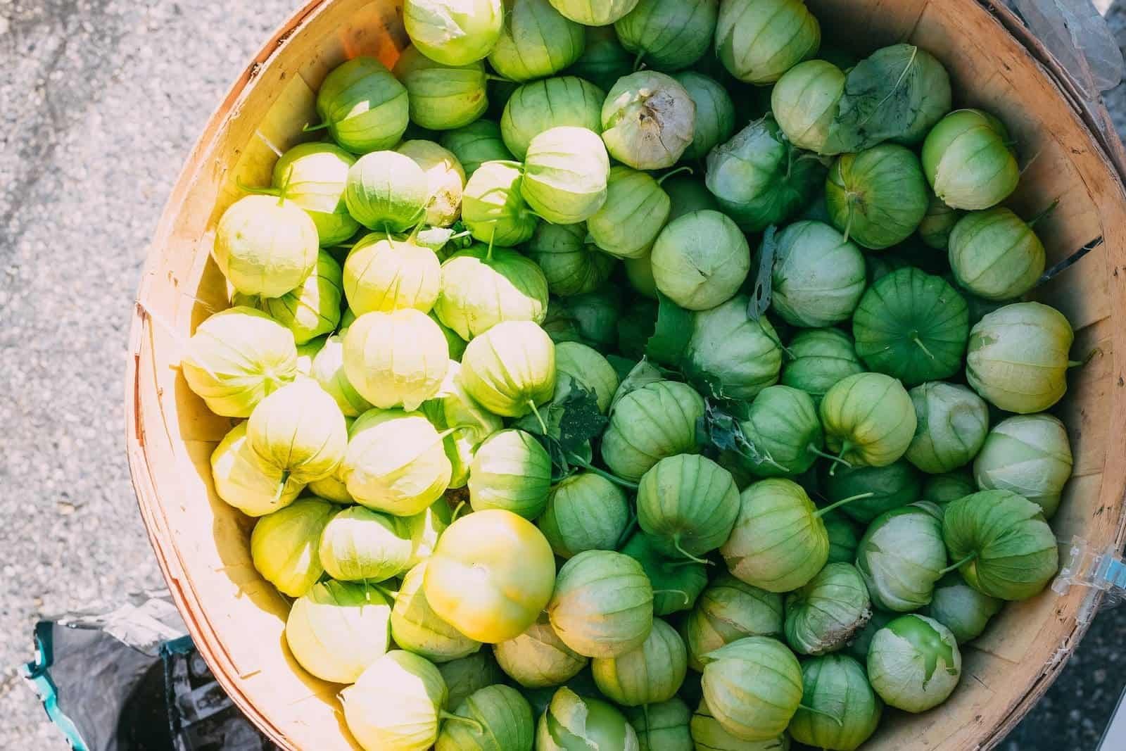 Tomatillo vs Gooseberry Difference and Comparison