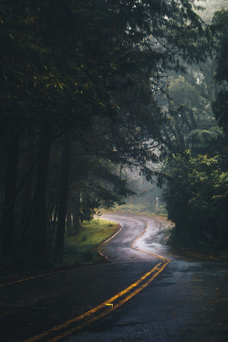 Easement vs Right of Way Difference and Comparison
