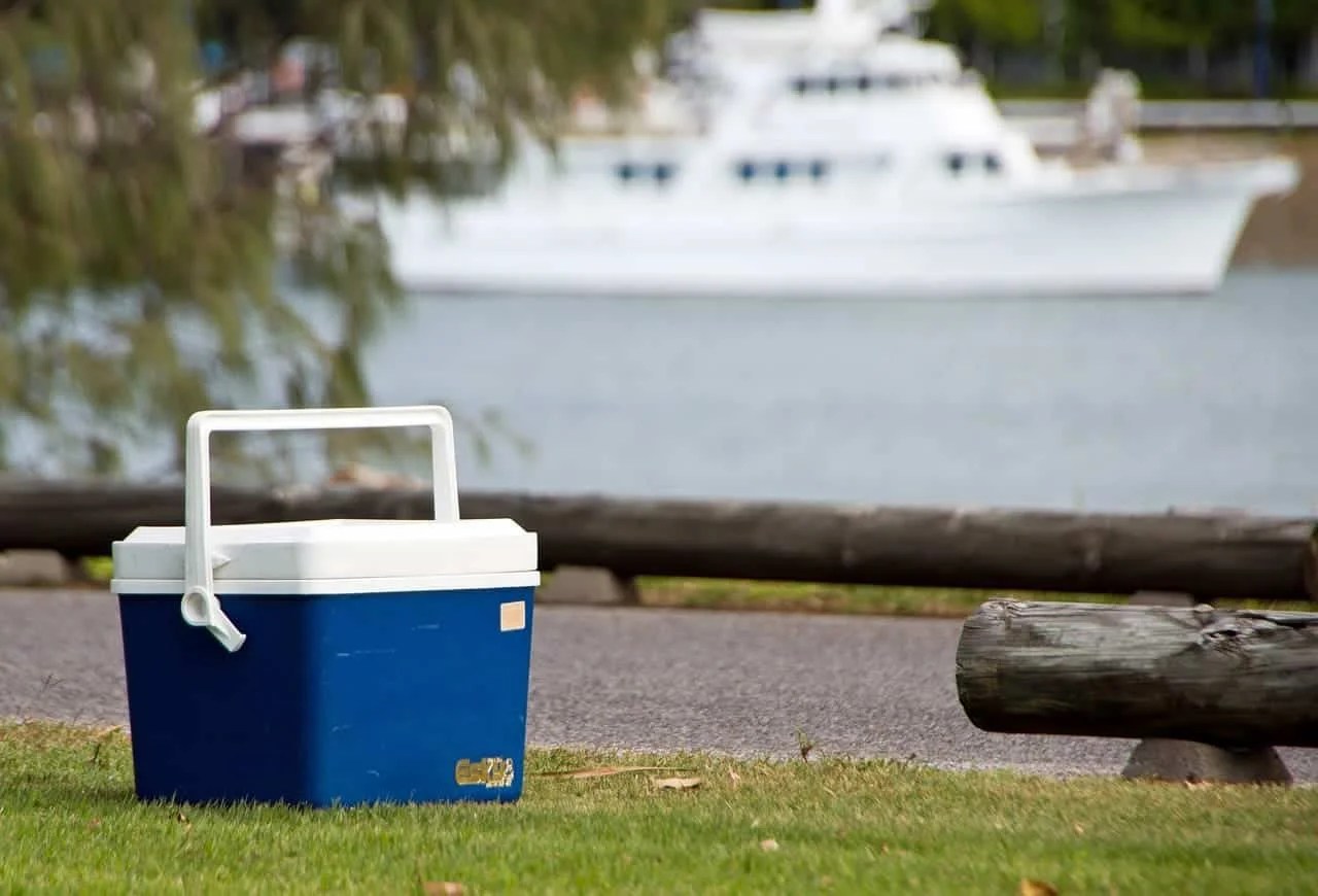 Camping Fridge vs eSky Difference and Comparison