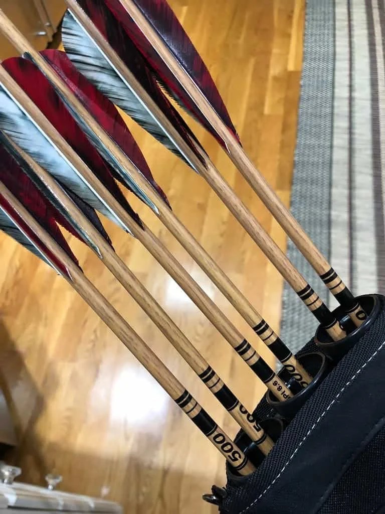 Aluminum vs Carbon Arrows Difference and Comparison
