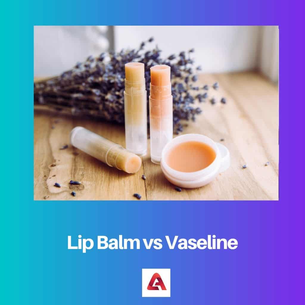 Lip Balm vs Vaseline Difference and Comparison