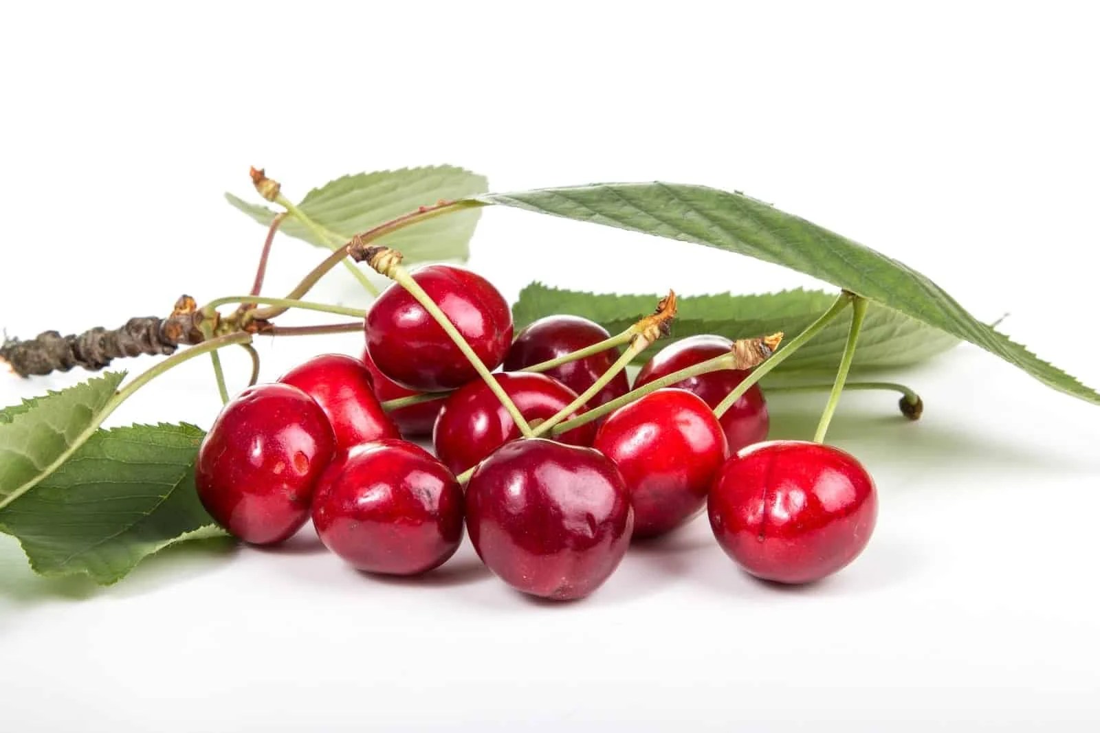 Cherries vs Cranberries Difference and Comparison