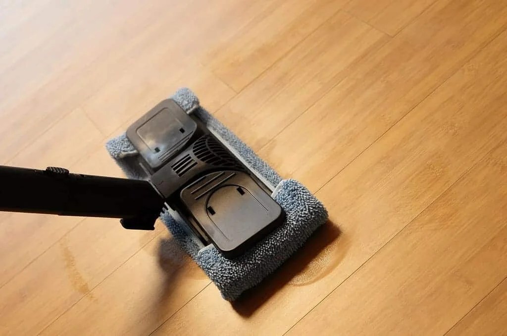 Steam Cleaner vs Pressure Washer Difference and Comparison