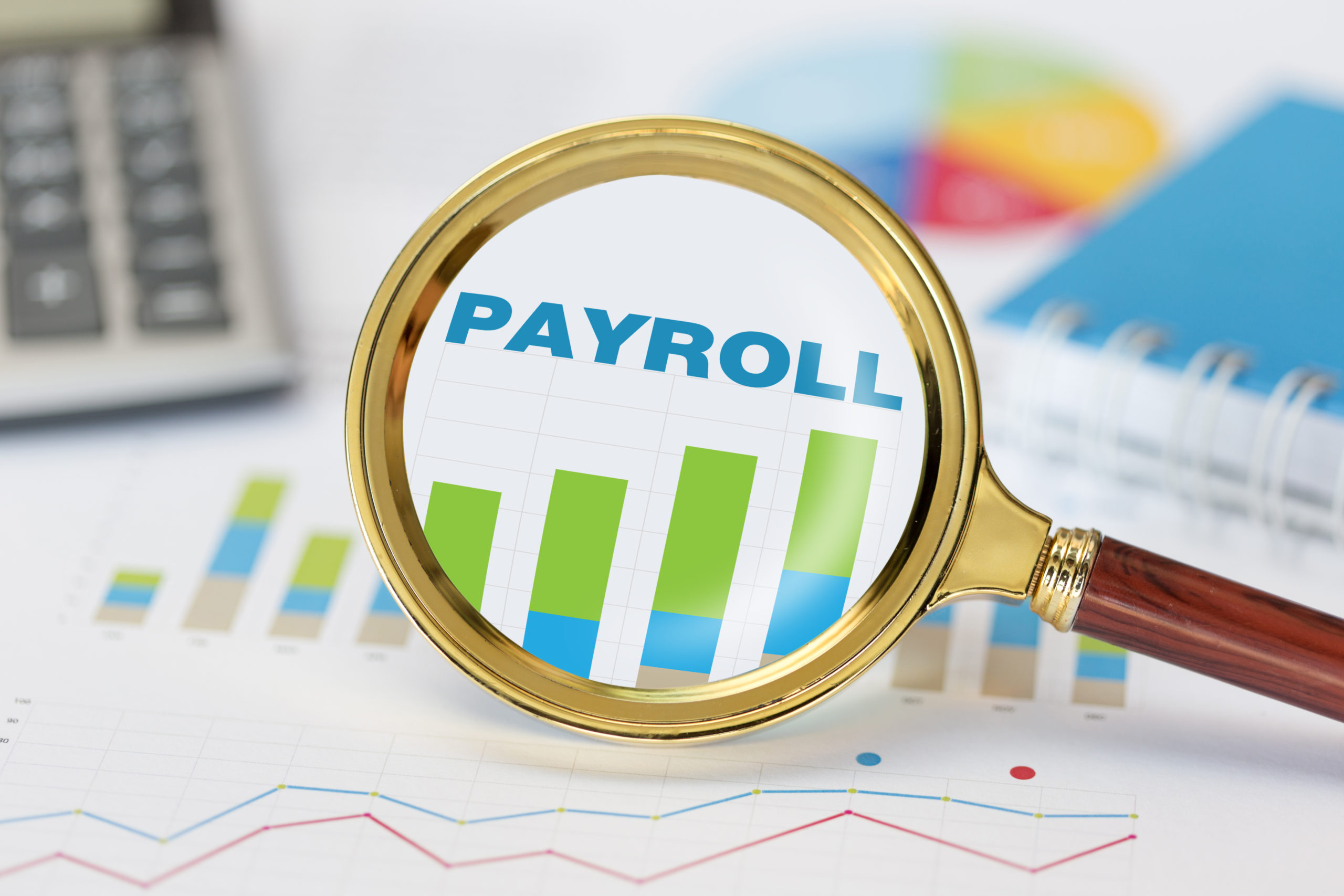 5 Common Payroll Mistakes To Avoid Best Employer Solutions