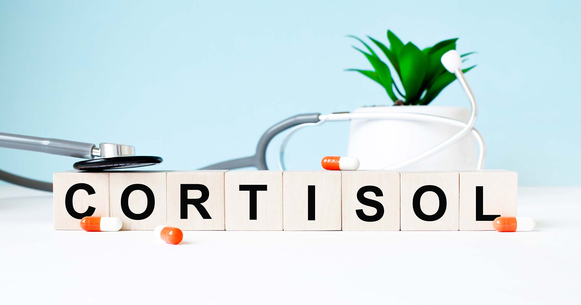 How Stress Hormone Cortisol Affects Weight Loss Ask Dr. Ernst