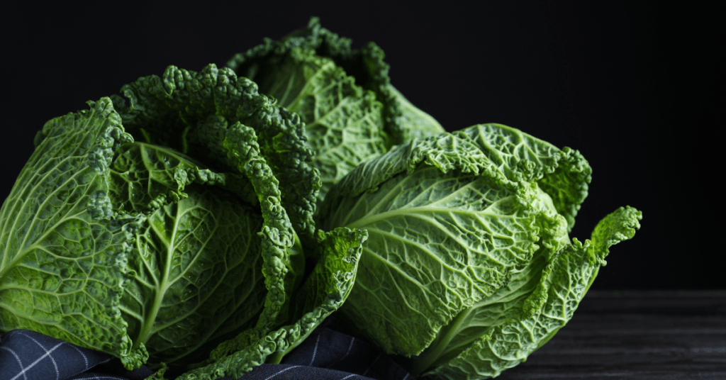 Vitamin K2 may be Helpful for People at Risk of Dementia Dementia Ask