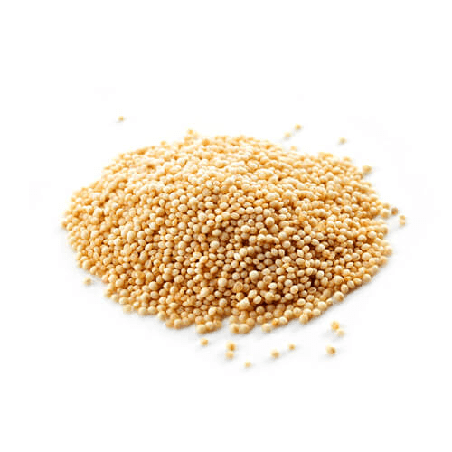 Fruit flies and the damage they cause in fruits Ask The Food Scientists