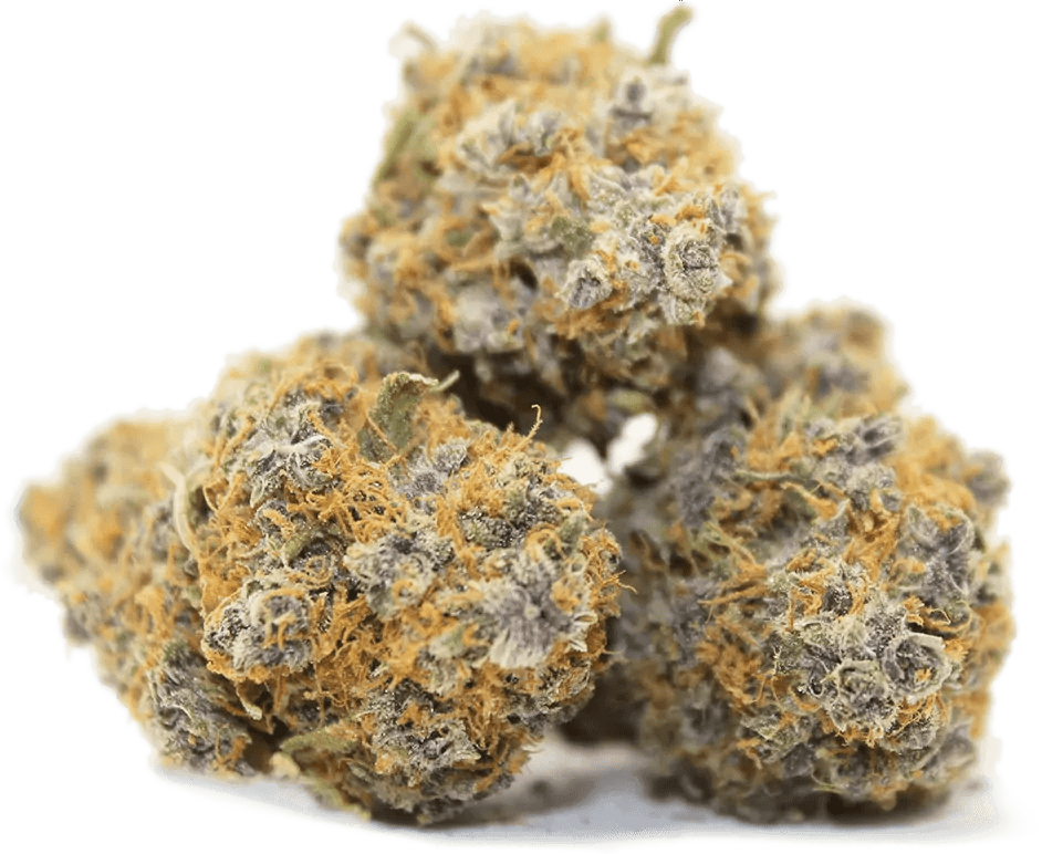 Lemon Cake Strain Complete Review AskGrowers