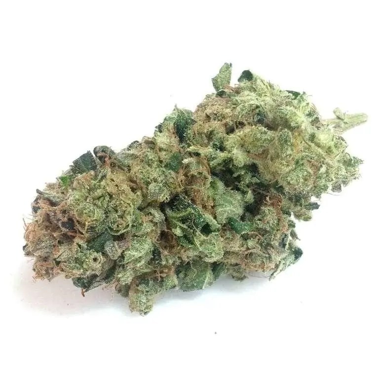 3 Kings Strain Information AskGrowers