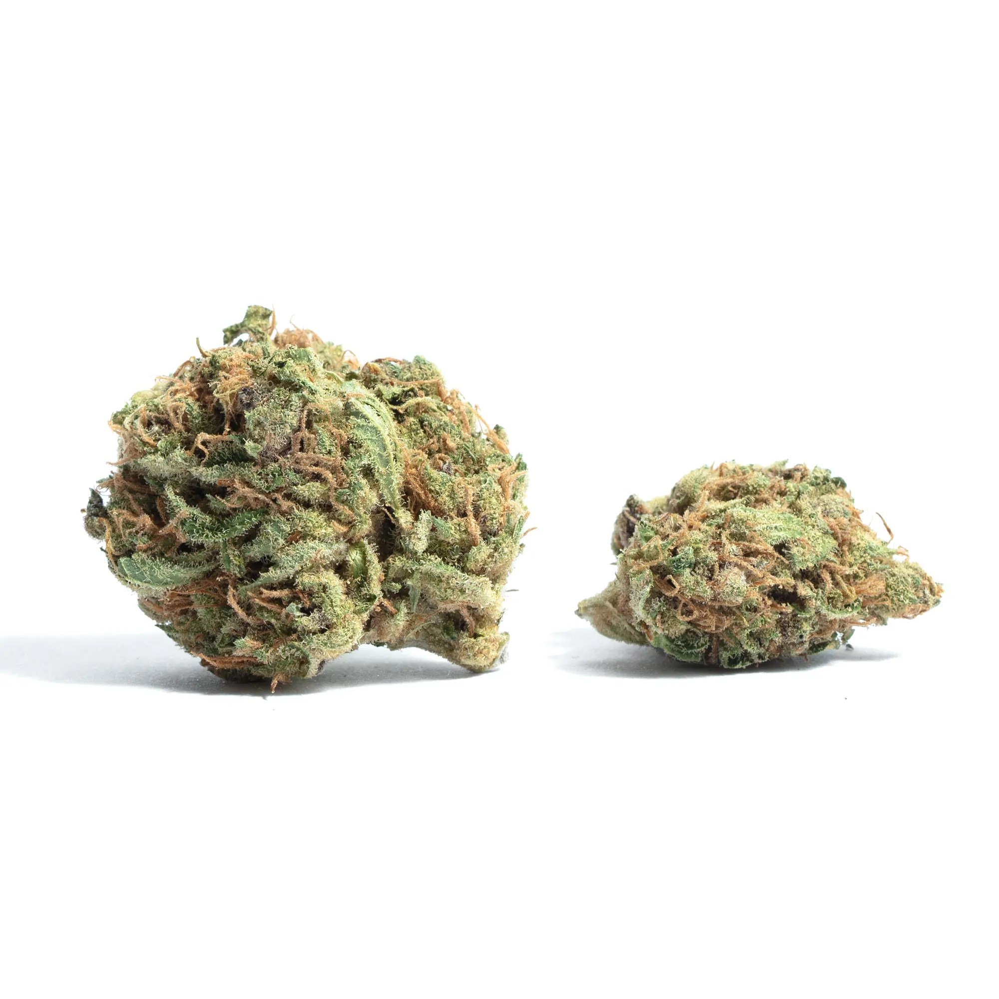 Plushberry Strain Full info & Reviews AskGrowers