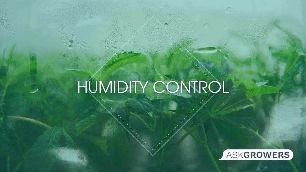 Humidity Control HowTo AskGrowers