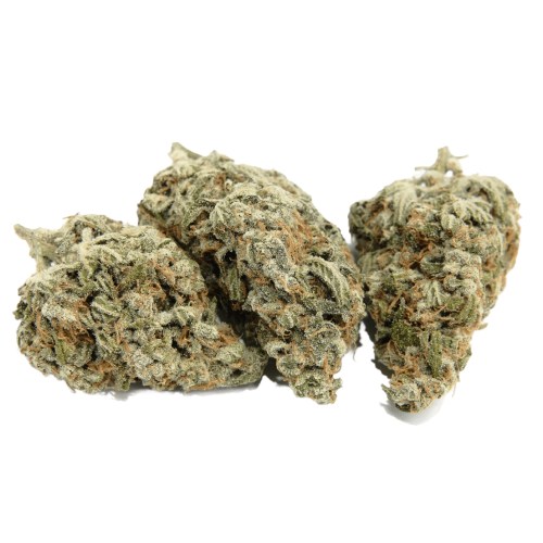 Sweet Wolf Strain Review & Info AskGrowers