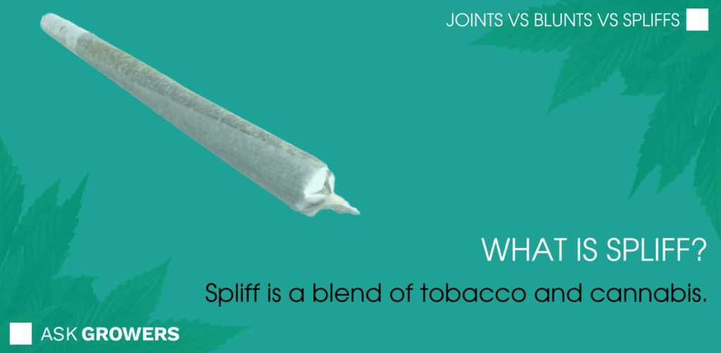 Cannabis Blunts vs Joints vs Spliffs The Major Differences 2022