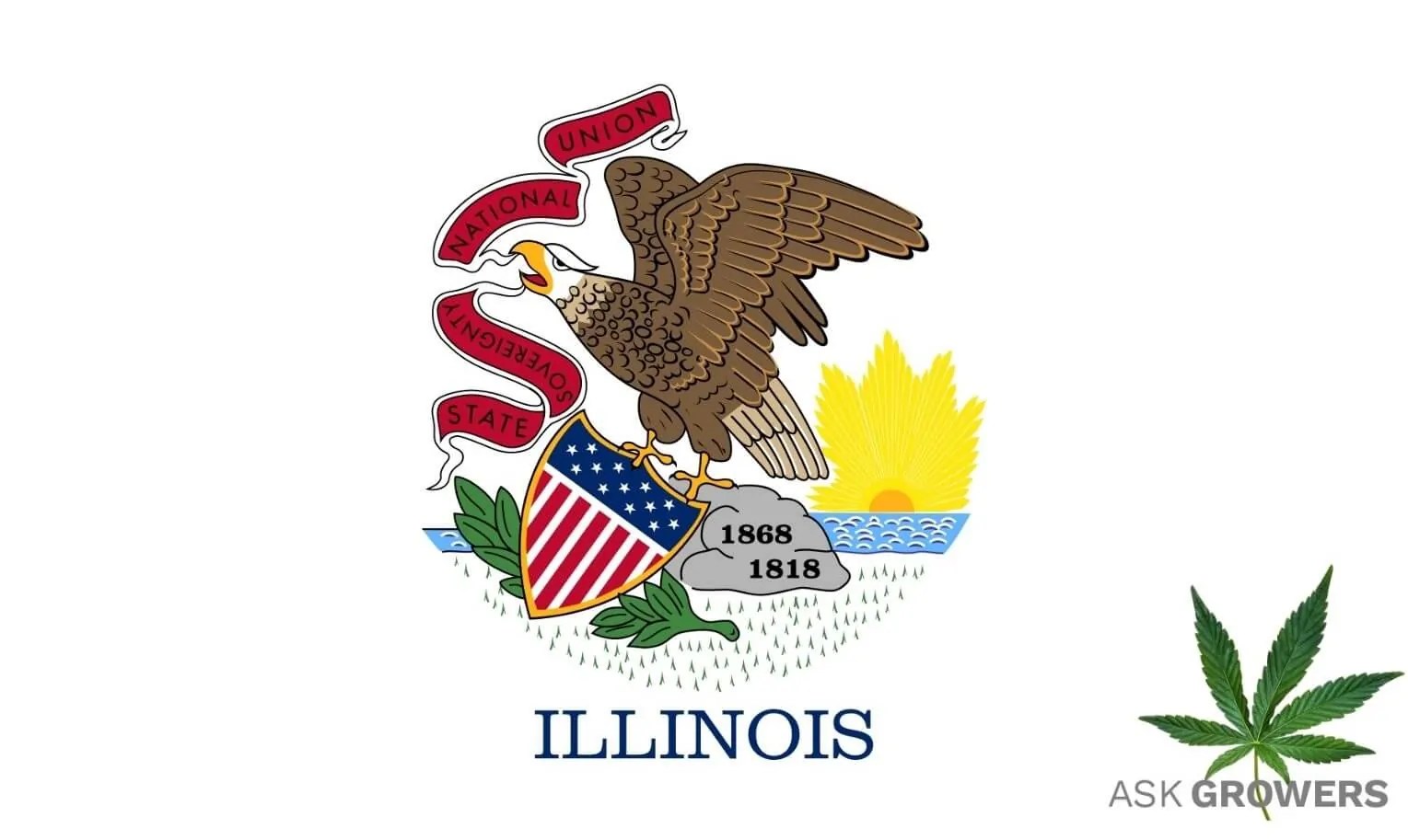 Illinois Marijuana Laws 2023 All about recreational & medical weed in
