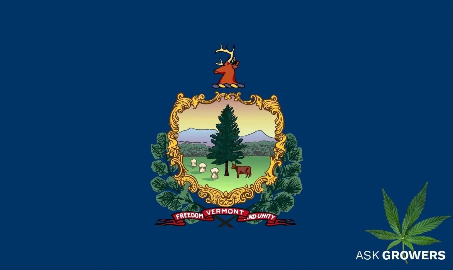 Vermont Marijuana Laws 2023 All About Recreational & Medical Weed in