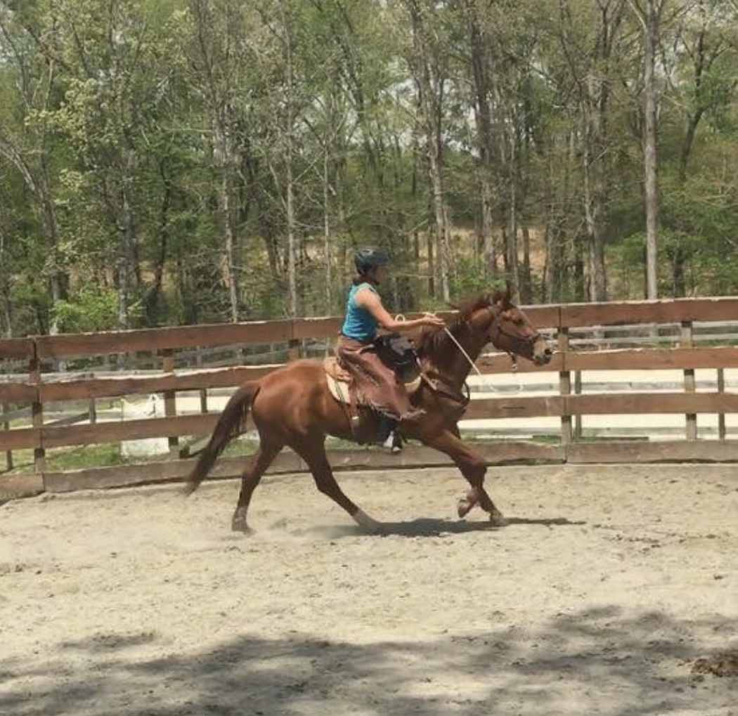 Why is my horse so hot? A Matter of Balance