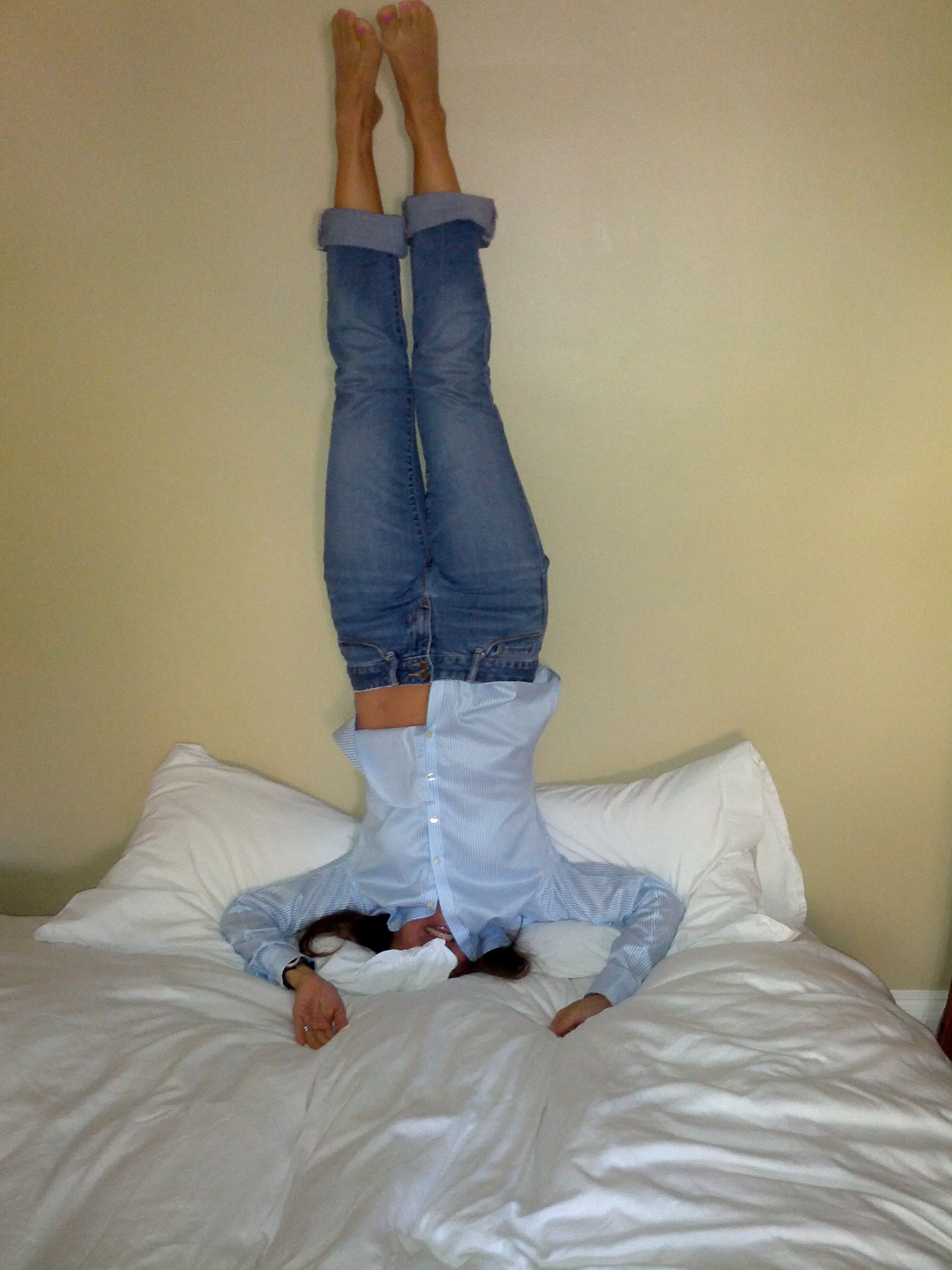 Doberman Sleeps Upside Down Back Dog Breeds Picture