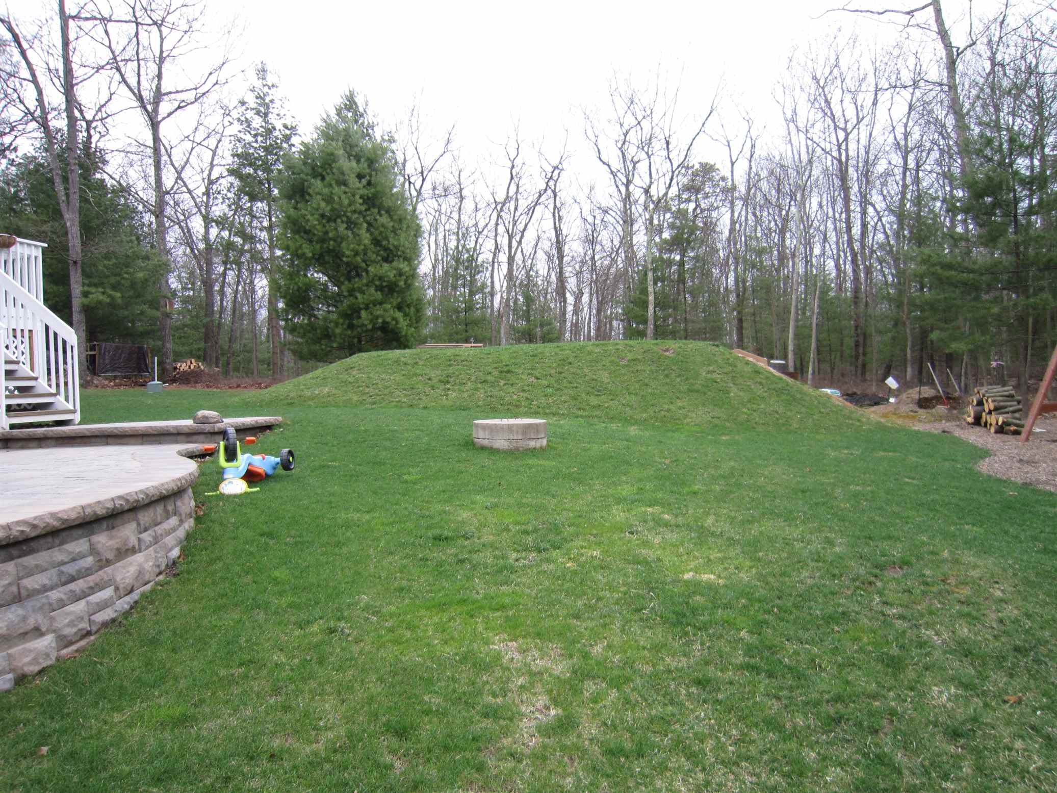 Garden Dilemmas, Delights & Discoveries, Ask Mary Stone Growing Around