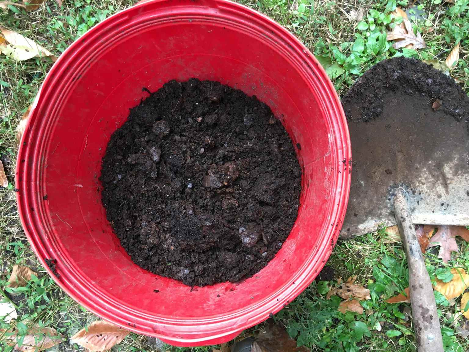 Garden Dilemmas, Delights & Discoveries, Ask Mary Stone Leaf Mold Better than Mulch Garden