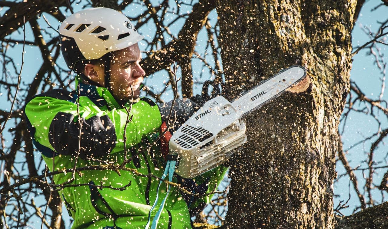 20+ Best Arborist, Tree Cutting, Lopping in Melbourne, Victoria [2023]