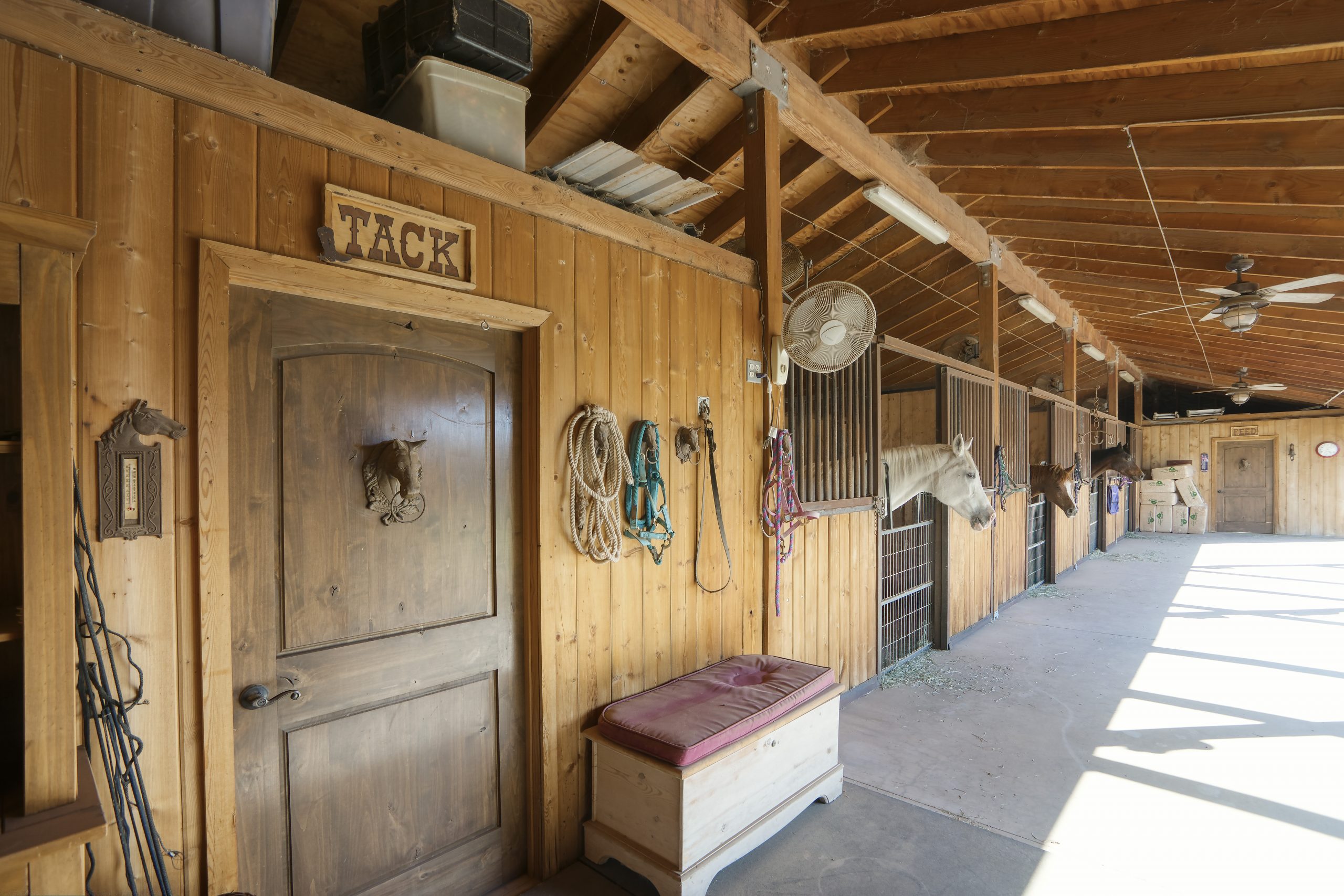 Waterfront Homes in Phoenix Metro Area Arizona Homes & Horse Properties