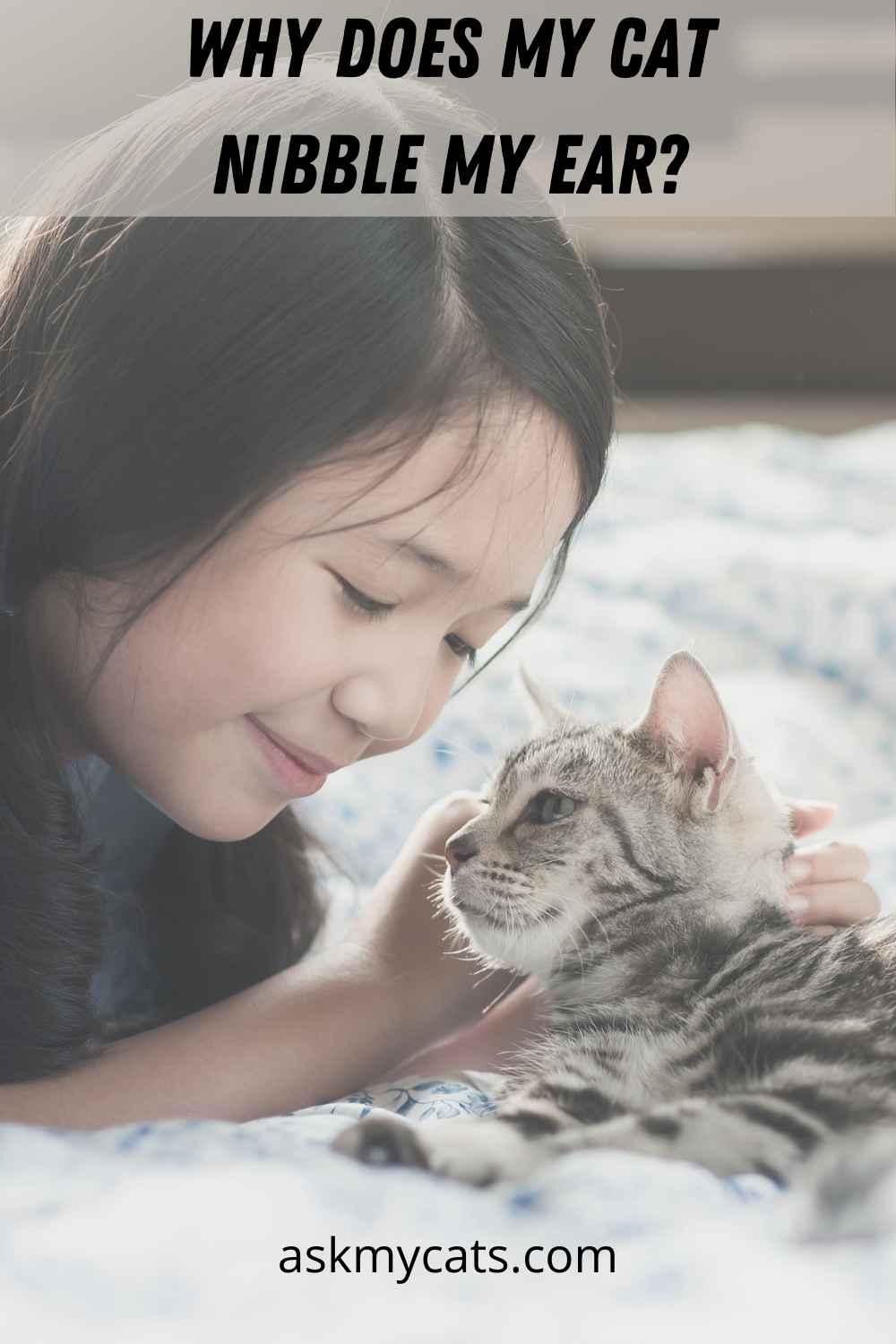 Why Does My Cat Bite My Ear? Go Through These Crazy Reasons!