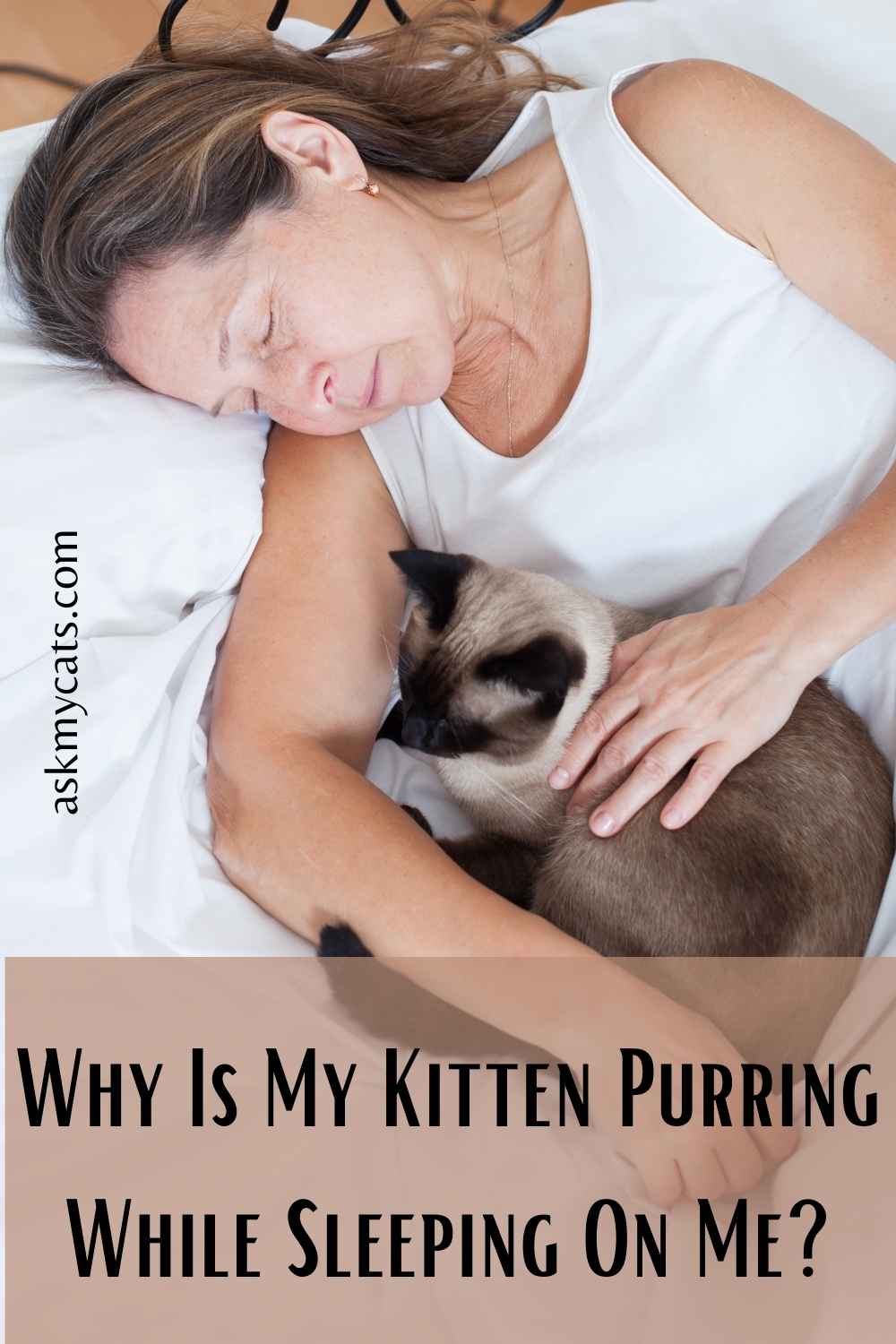 Why Do Cats Purr When They Sleep? Is He Enjoying His Sleep?