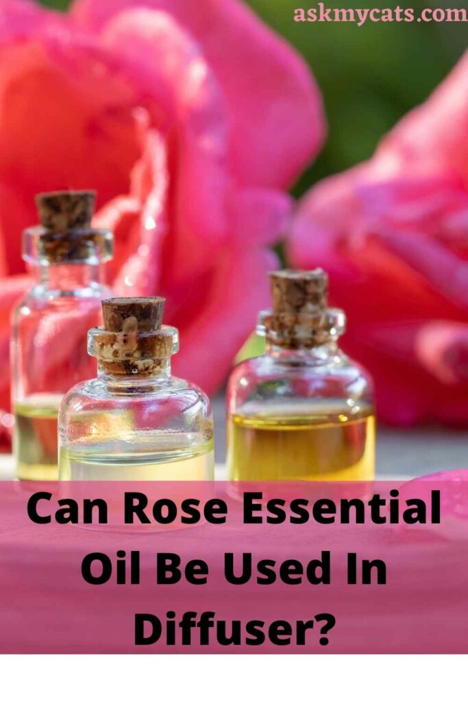 Is Rose Essential Oil Safe For Cats?
