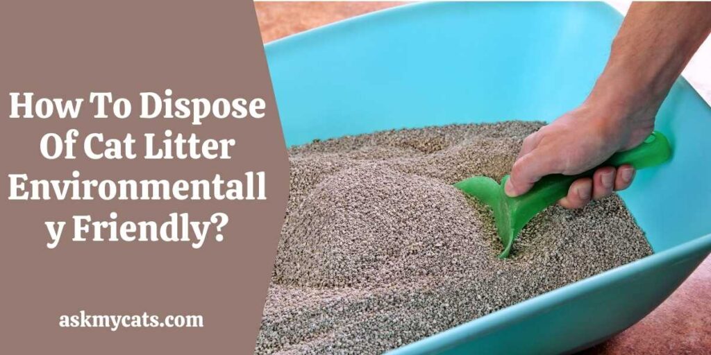 How To Dispose Of Cat Litter The Green Way?
