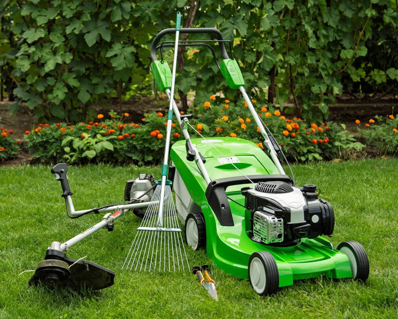 Gardening Service UAE Best Lawn Maintenance Company Near Me