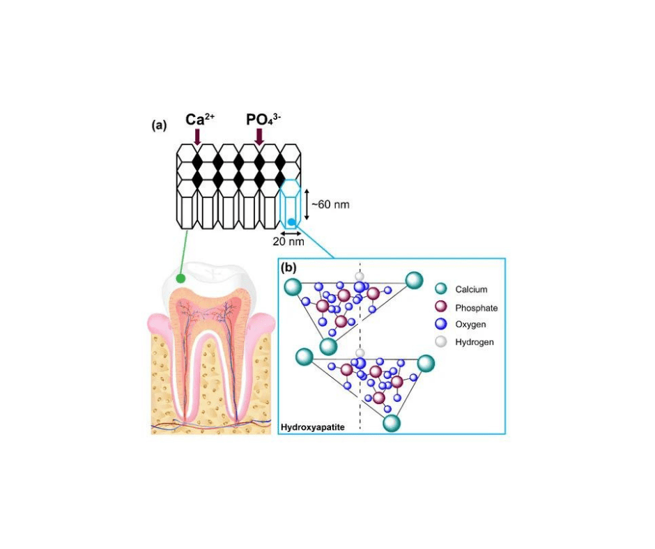 Current Research on Hydroxyapatite Toothpaste Efficacy and Safety Ask