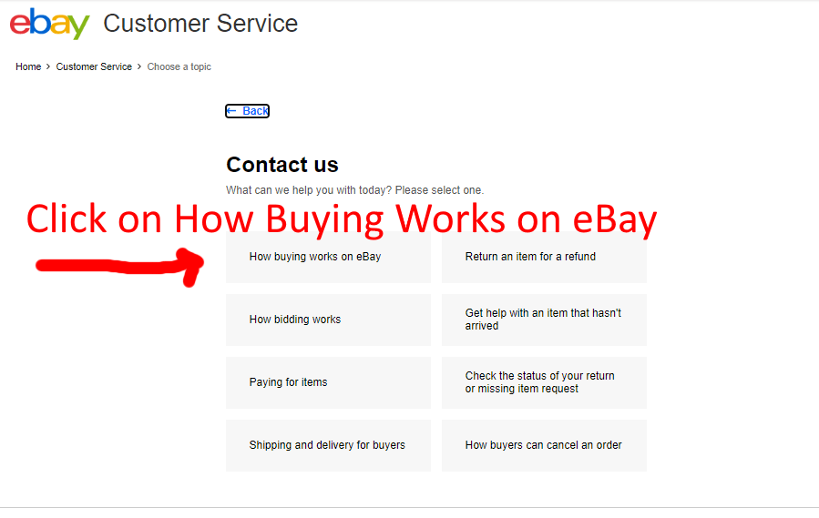 Ask The eBay Queen