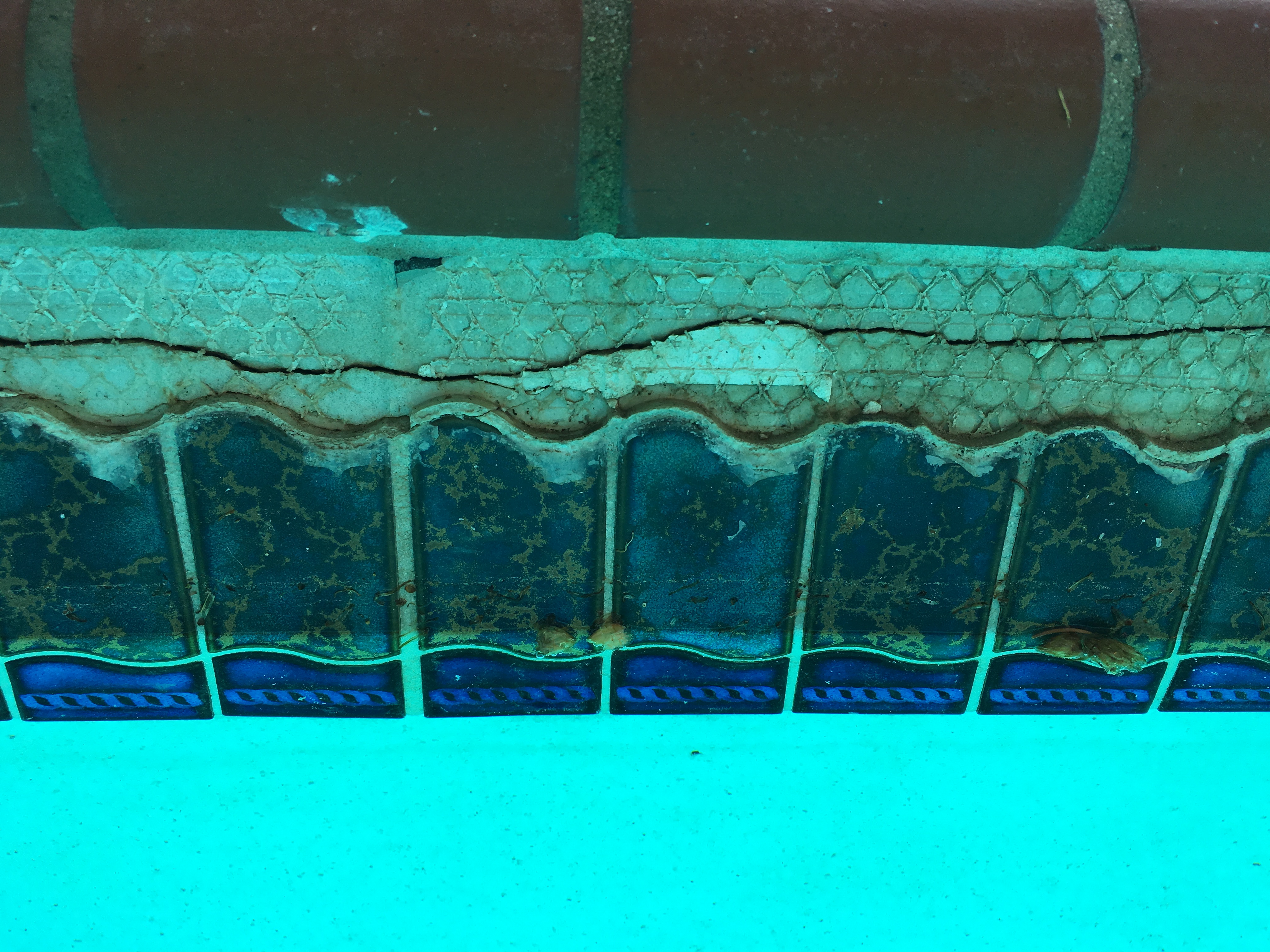 Expansion Joint Caulk on a Swimming Pool Why? Ask the Pool Guy