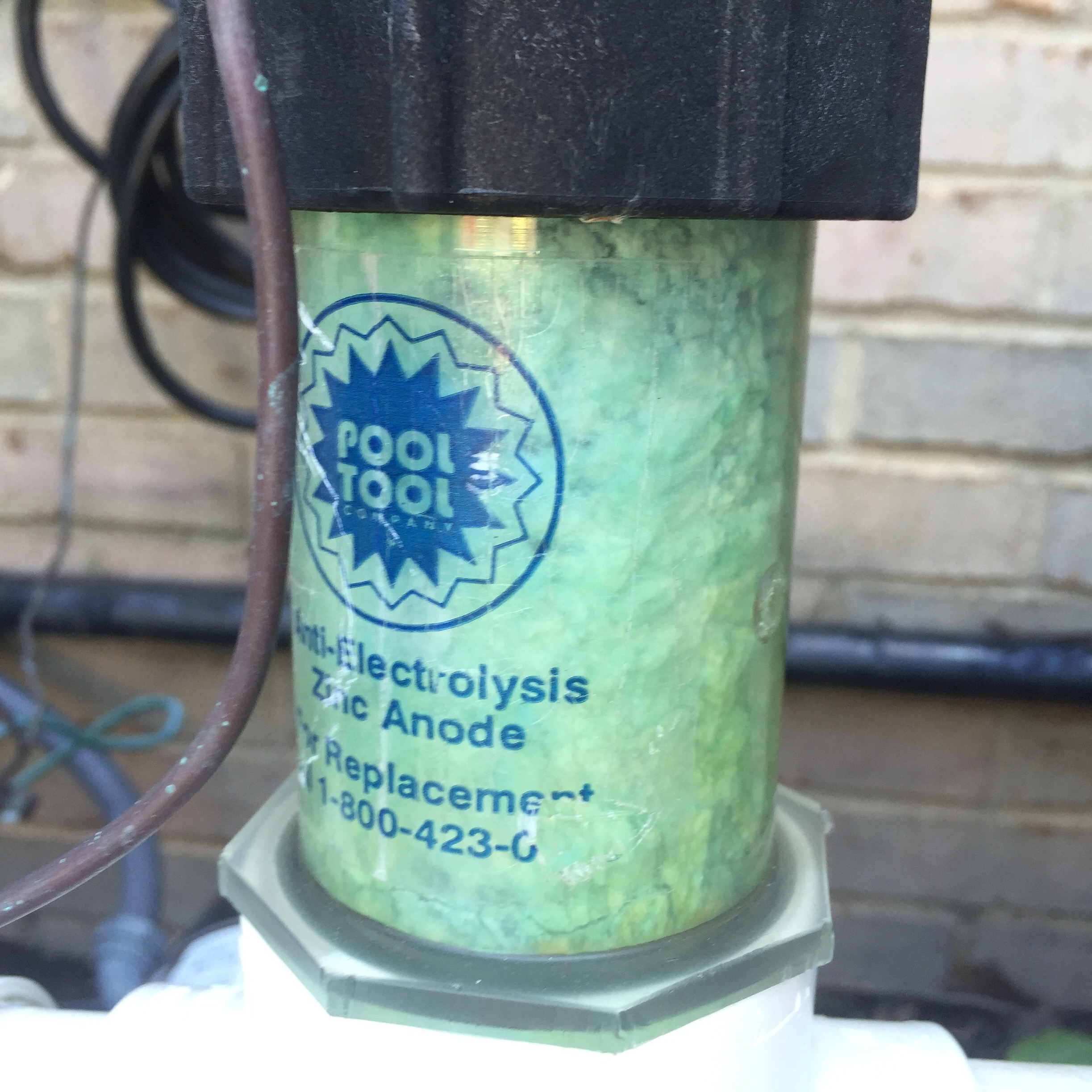 Mustard Algae How to diagnose and treat Mustard or Yellow Algae in