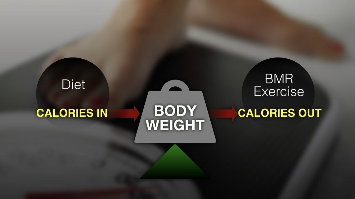 Understanding Calories is Your First Step to Weight Management Ask