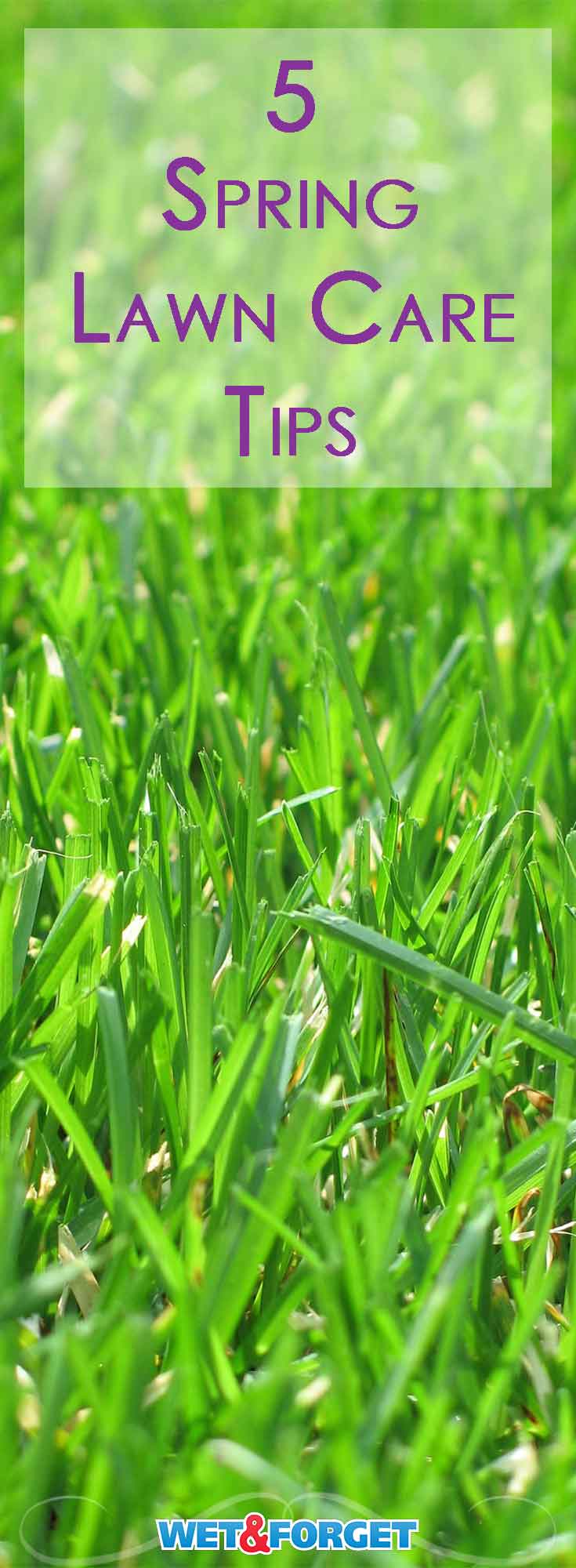Use Our Top 5 Spring Lawn Care Tips to Enjoy Lots of Beautiful Green