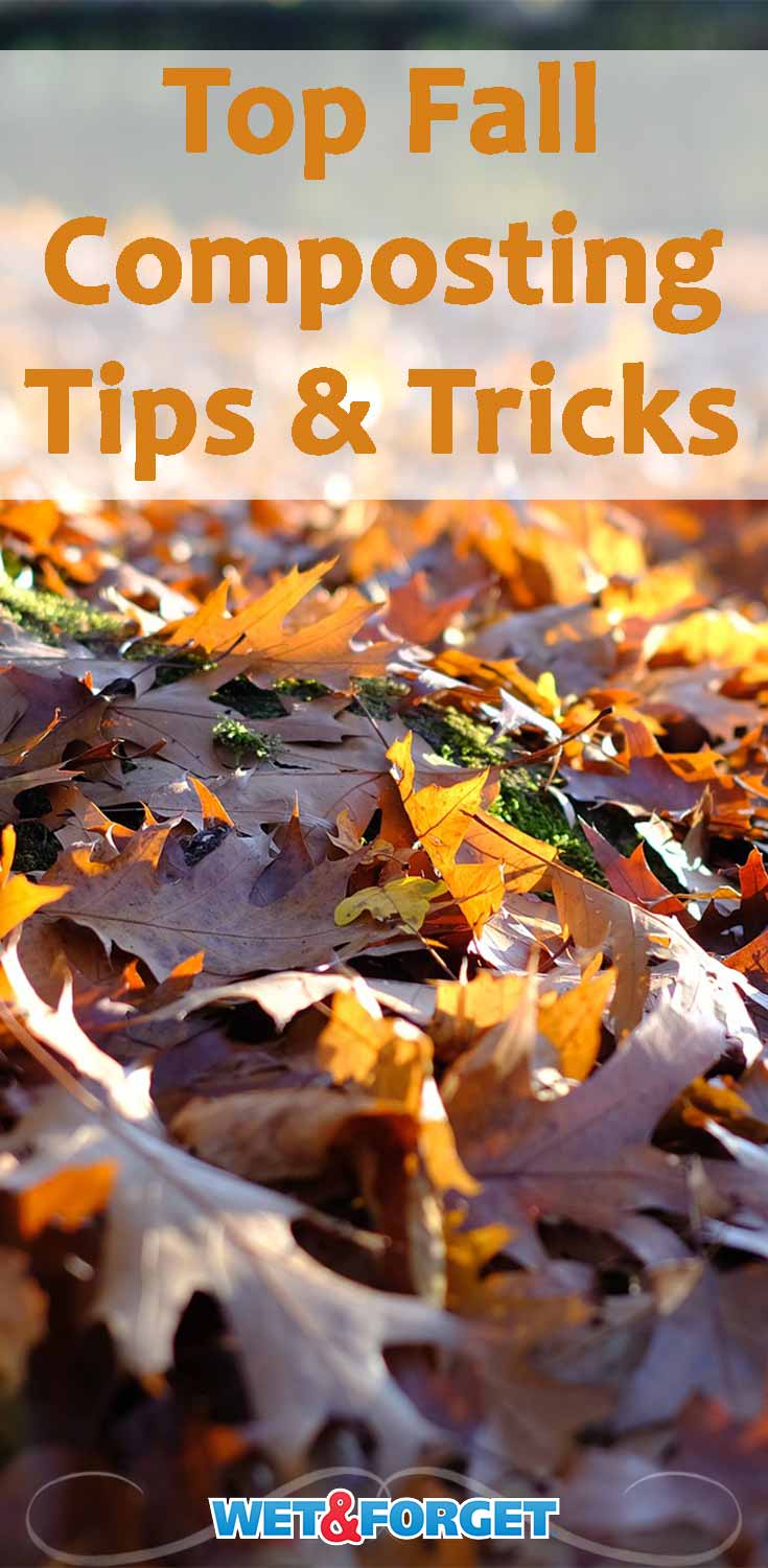 Composting Leaves and Twigs for the Newbie Gardener Life's Dirty