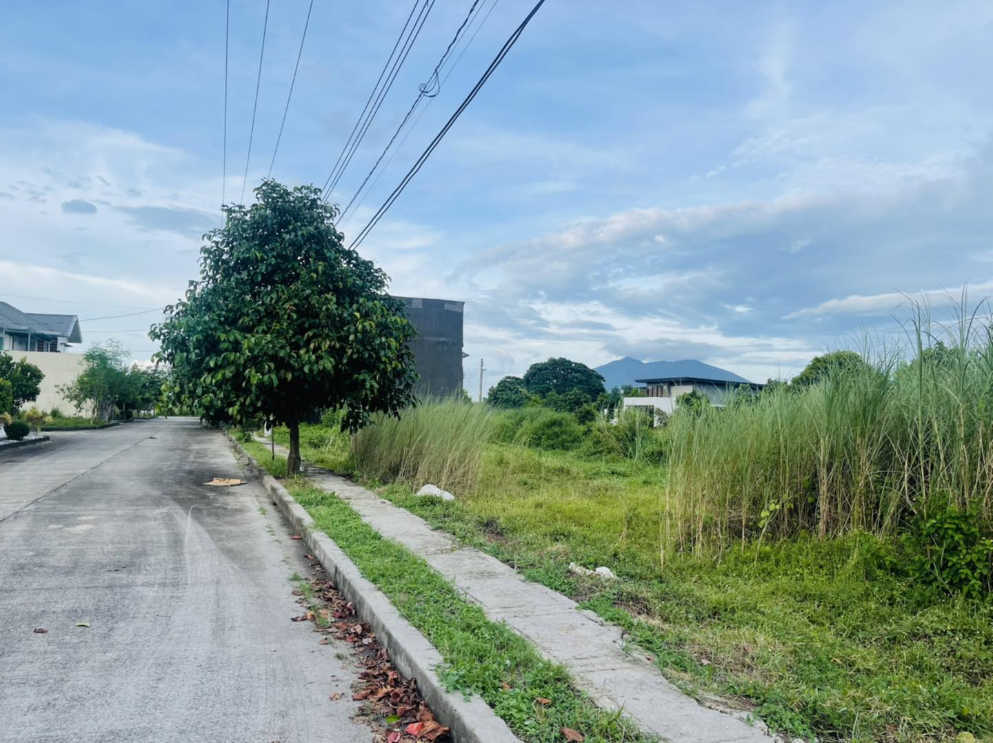 FOR SALE OPENED LOTS IN PUNTA VERDE ANGELES CITY PAMPANGA NEAR MARQUEE