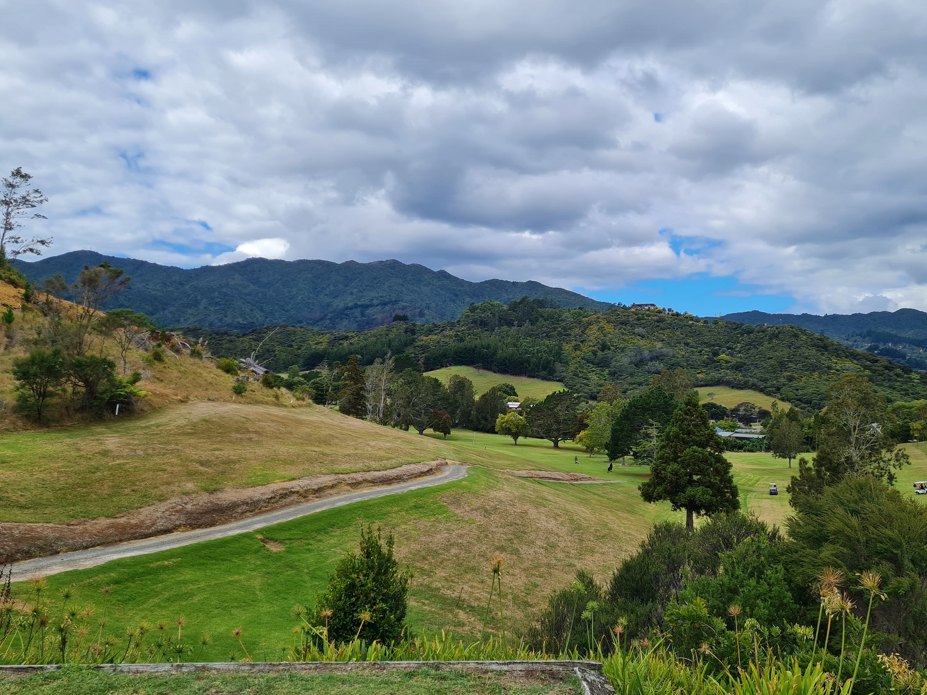 Coromandel Golf Club it's all gold A Slice of NZ Golf
