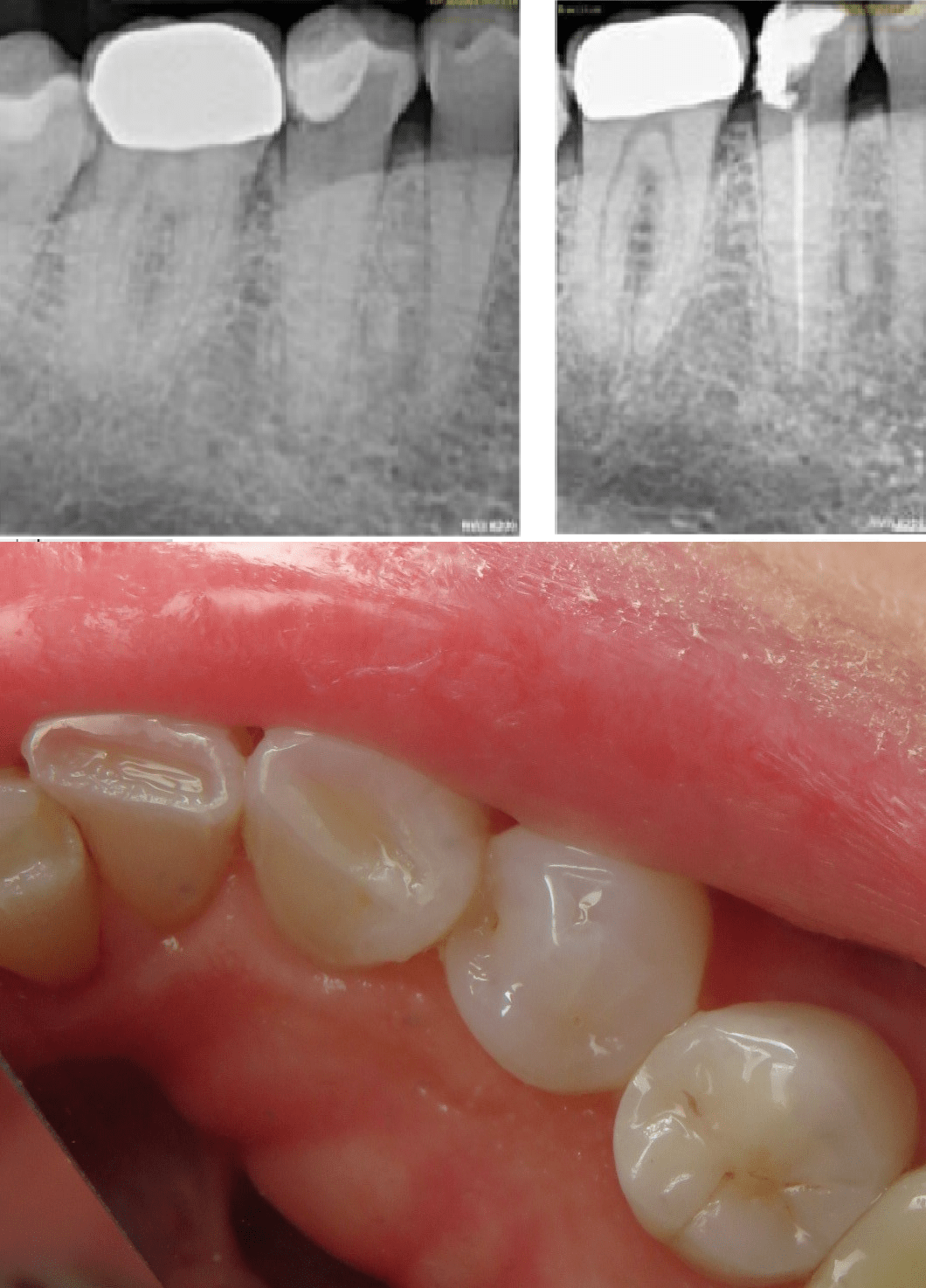 Services Asmara Qamar DDS