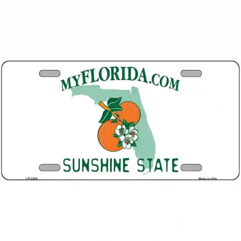 Florida State Blank Novelty Metal License Plate Smart Blonde
