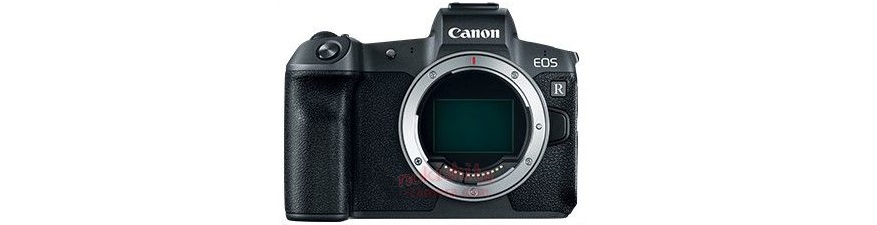 キヤノン フルサイズミラーレス Eos Rのためのおススメefマウントレンズ とるなら 写真道楽道中記