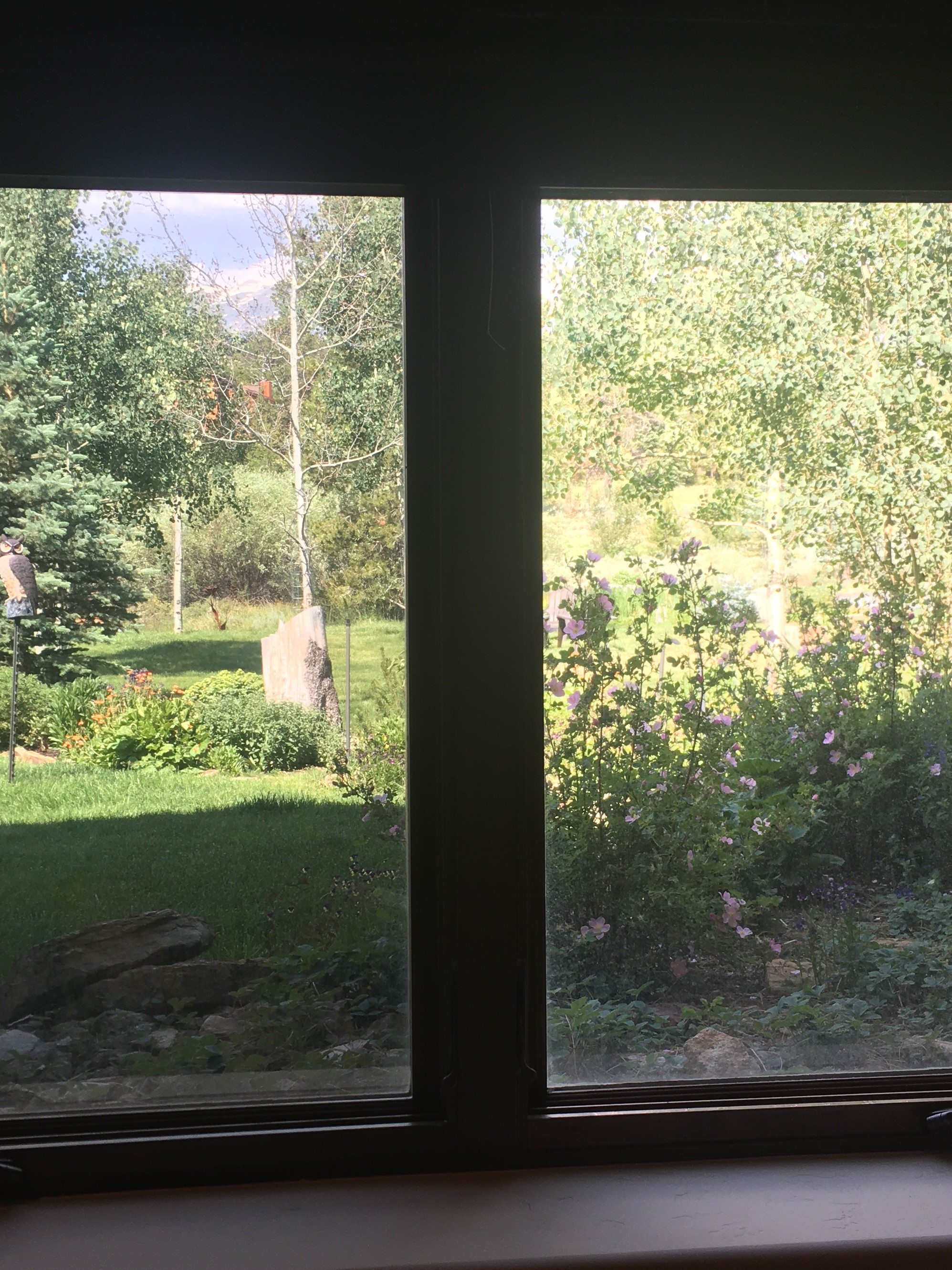 Summit County, CO Home Window Tinting A Solar Solution