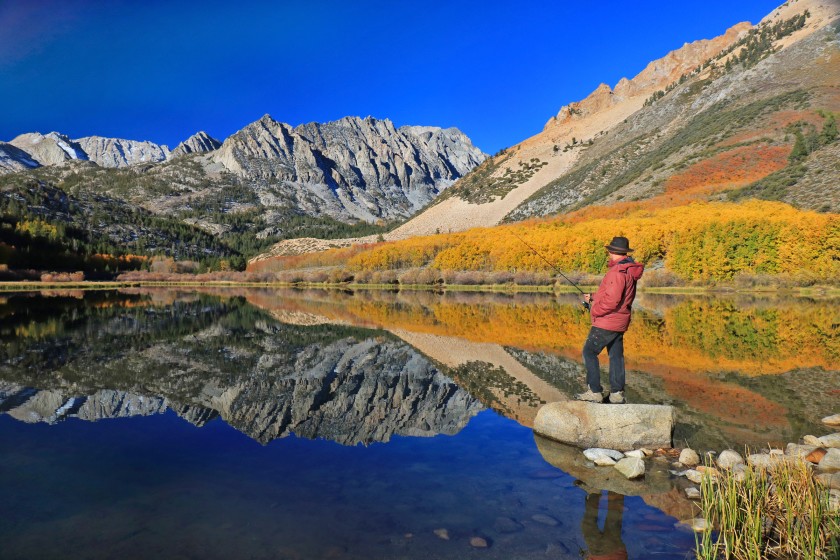 The Easiest Way to See Fall Colors in Mammoth Lakes ASO Mammoth