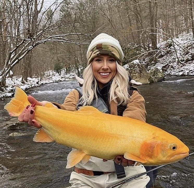 When Does Spring Fishing Begin in Mammoth Lakes? ASO Mammoth