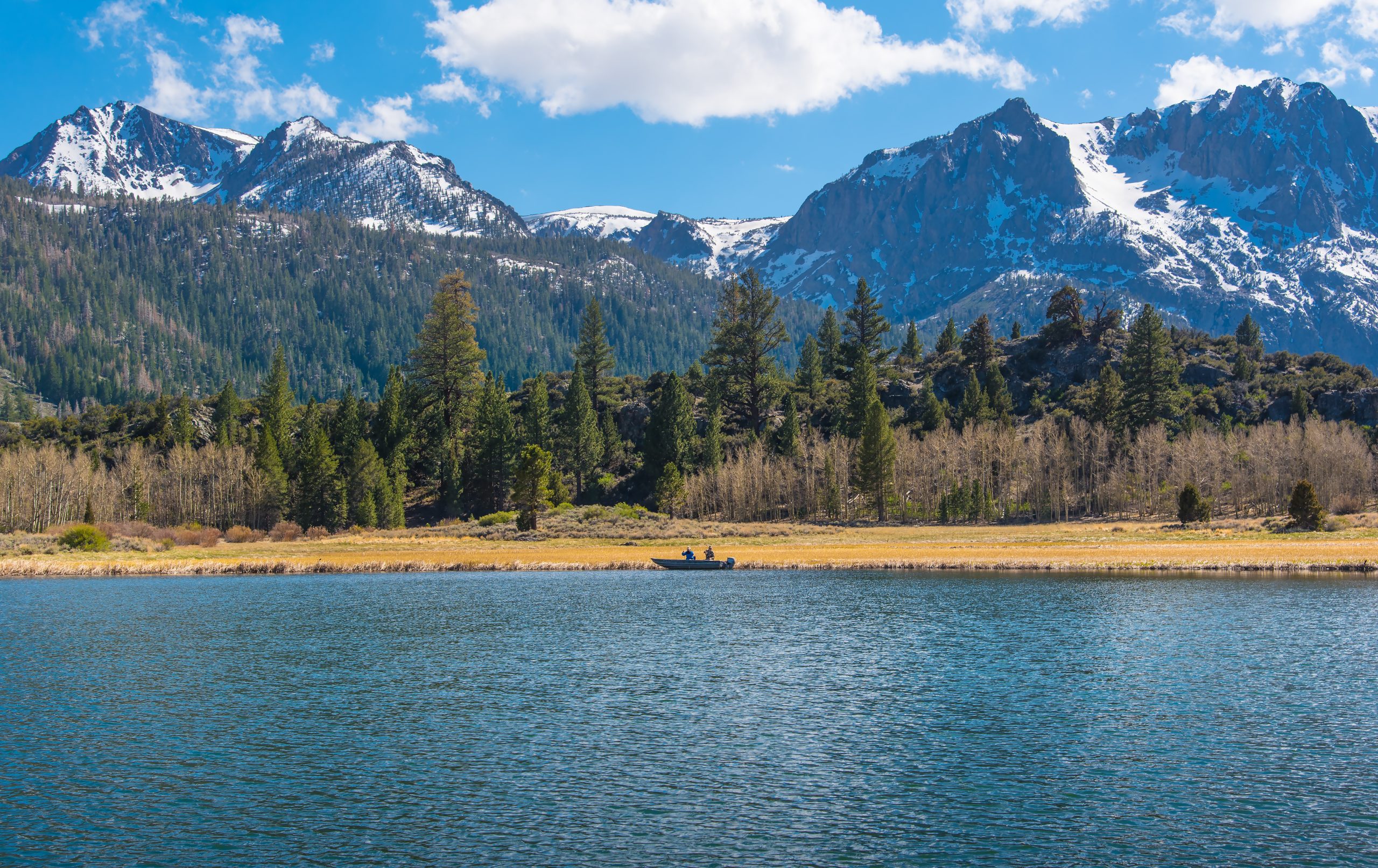 What’s the Size Limit for Trout in Mammoth Lakes?